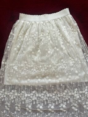 Fairy Coquette White Embroidered Lace Midi Skirt - Women's